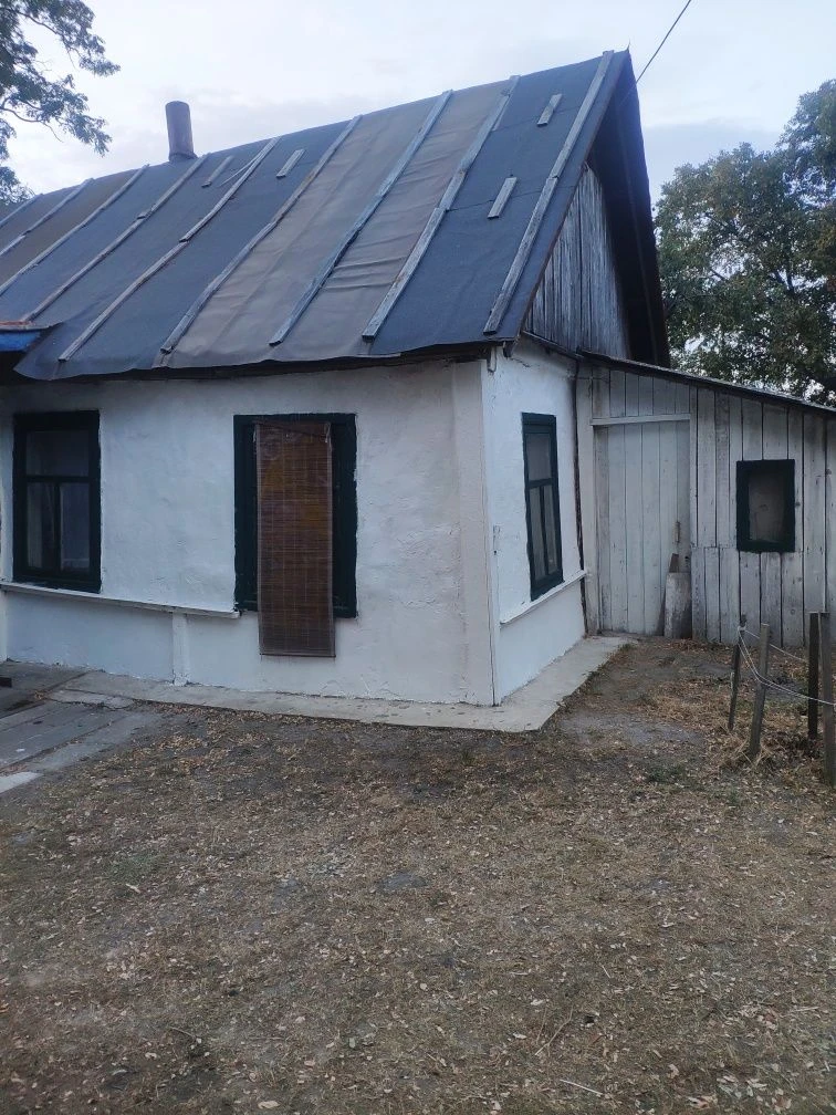 Старенький будинок з 45 сотами та гарним садом
