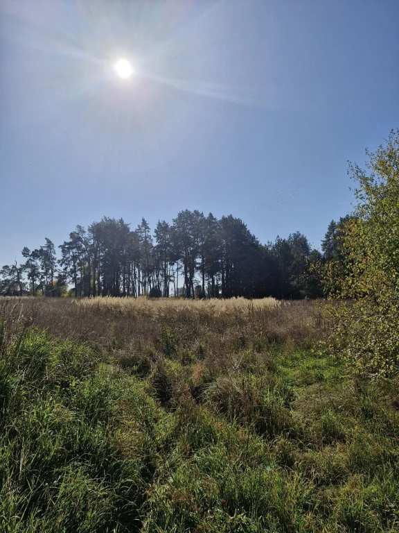 For Sale: Land plot in village Prazhov!!