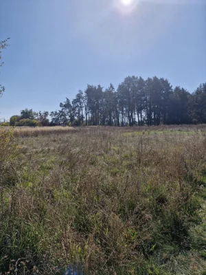 For Sale: Land plot in village Prazhov!!