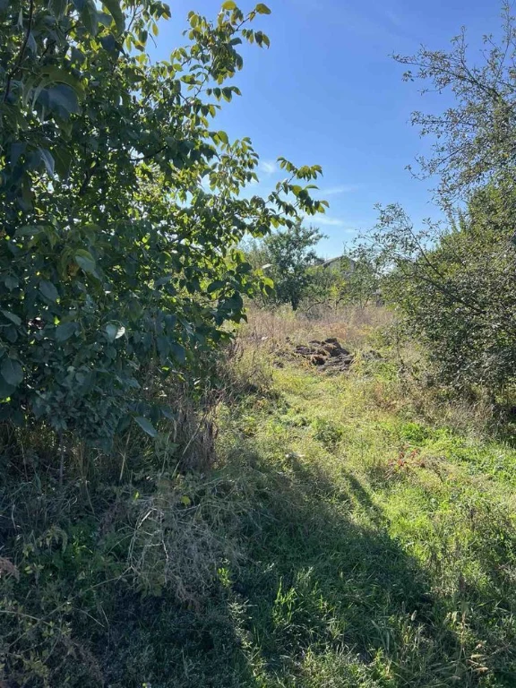 Land for Sale in Novoalexandrivka