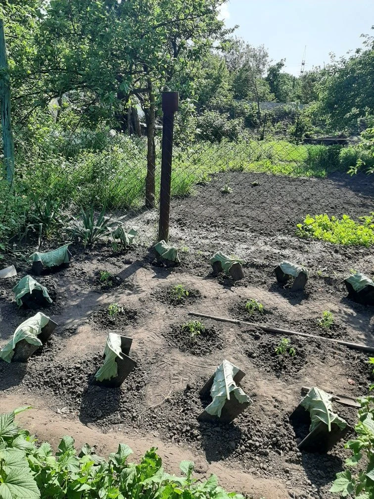 Продам 1/2 цегляного будинку на Сортуванні , 4 кімнати ,3 со