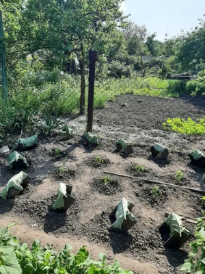 Продам 1/2 цегляного будинку на Сортуванні , 4 кімнати ,3 со