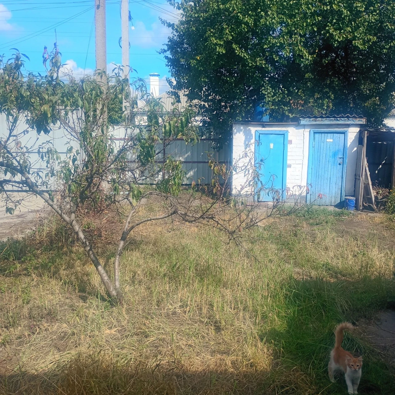 Продам  пол дома на Лев2