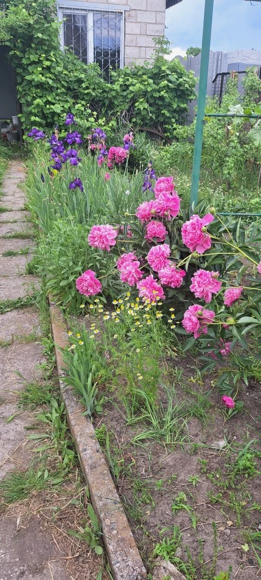 Продам дім-дачу в місті 7 км від ж.м.Фрунзенський..