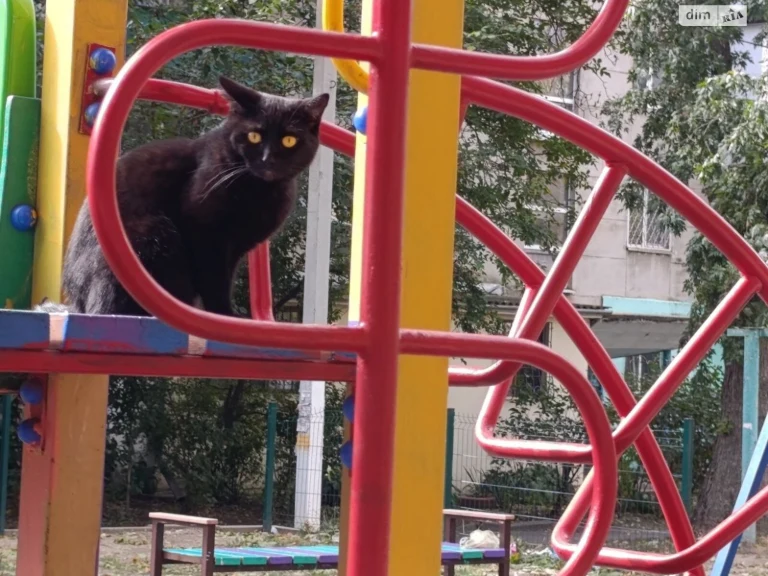 Продаж Квартири в Котовському містечку