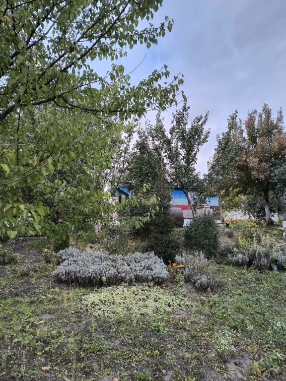 House near Kyiv - Rivne