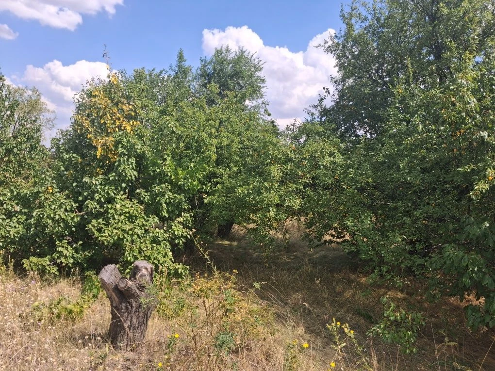 Садовий участок з будинком