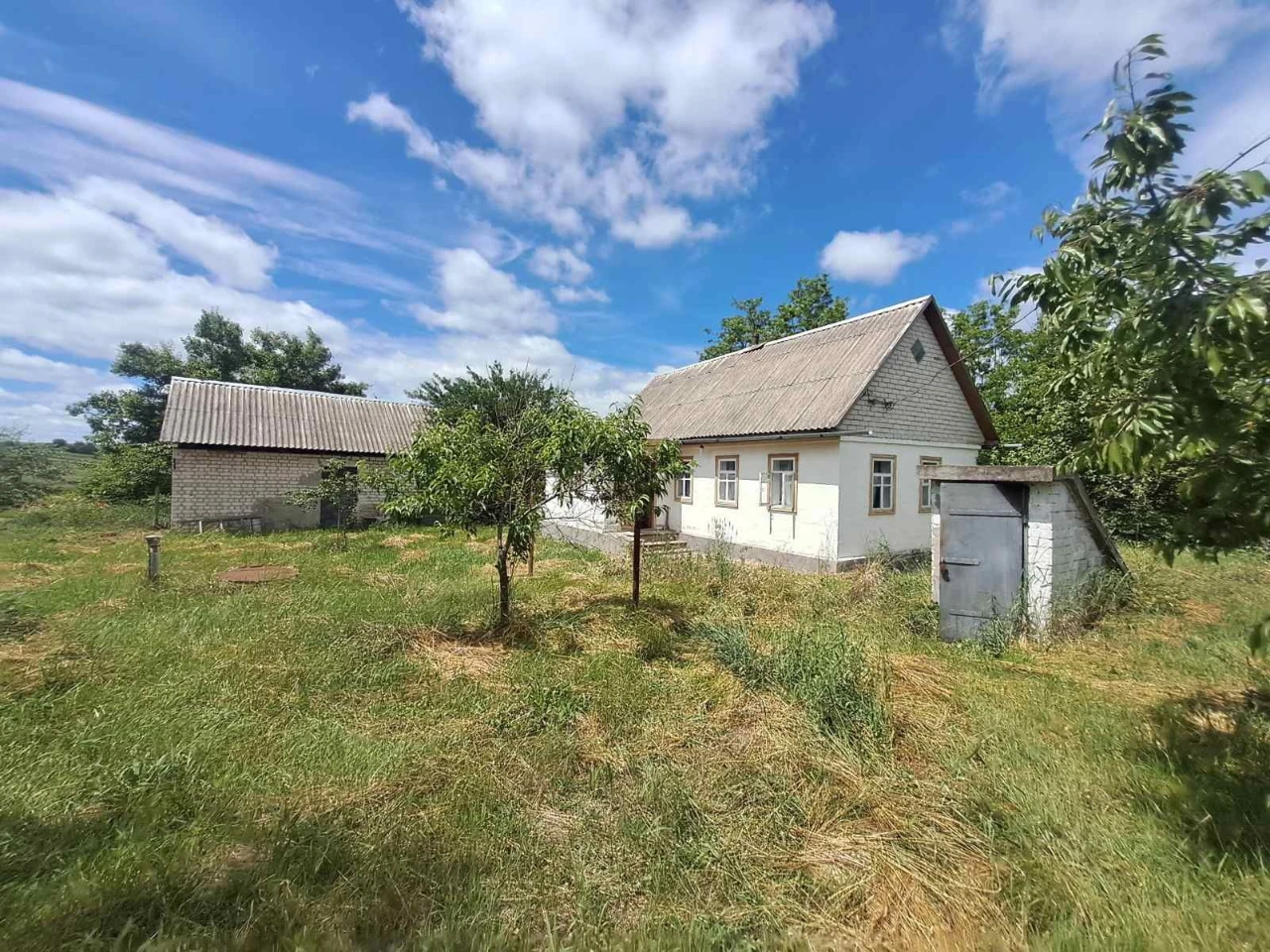 Продам будинок в селі Телепине