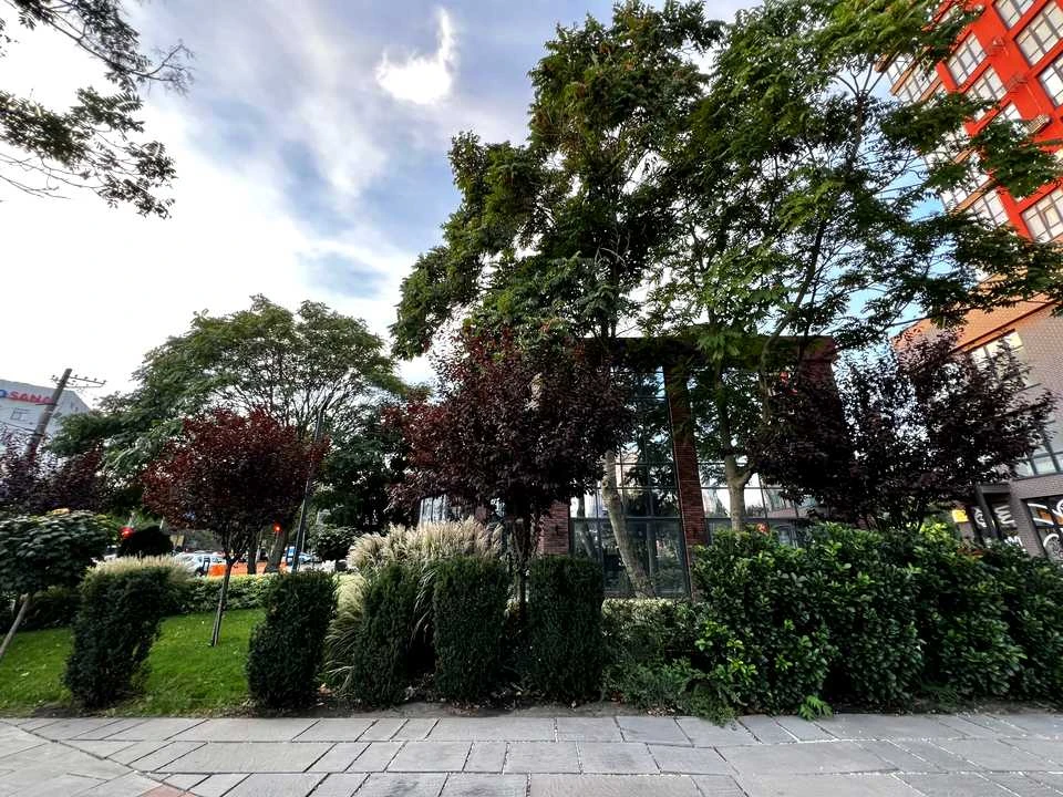 Квартира. Одеса, вулиця Академіка Філатова