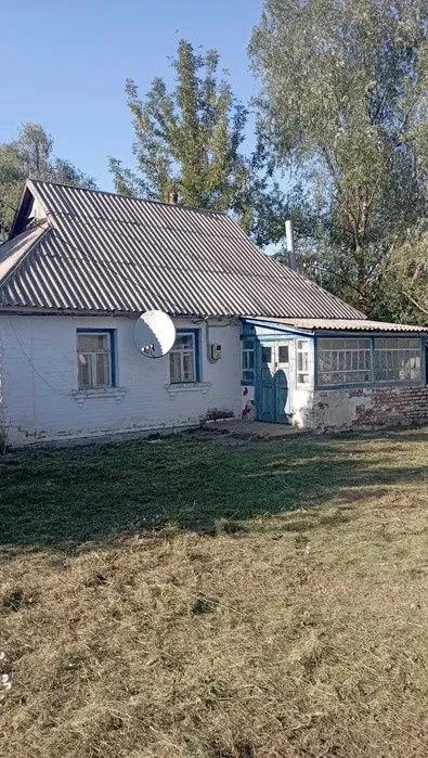 Selling house in the village of Nova Berezhanka, Kyiv region