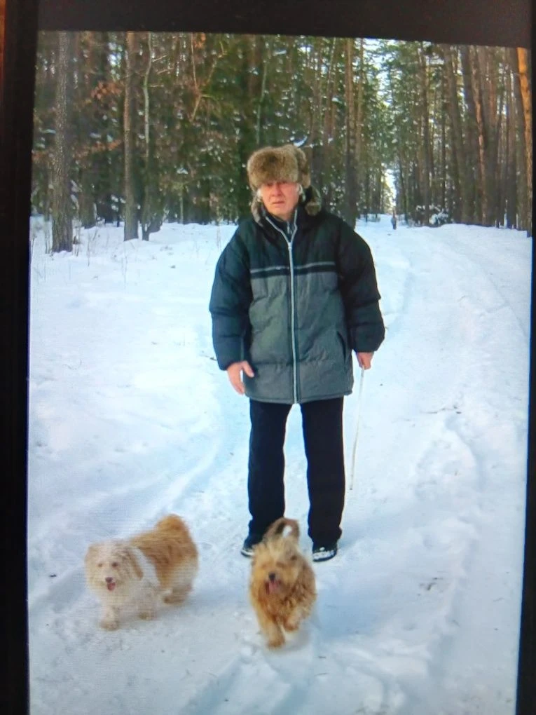 Selling house in the village of Nova Berezhanka, Kyiv region