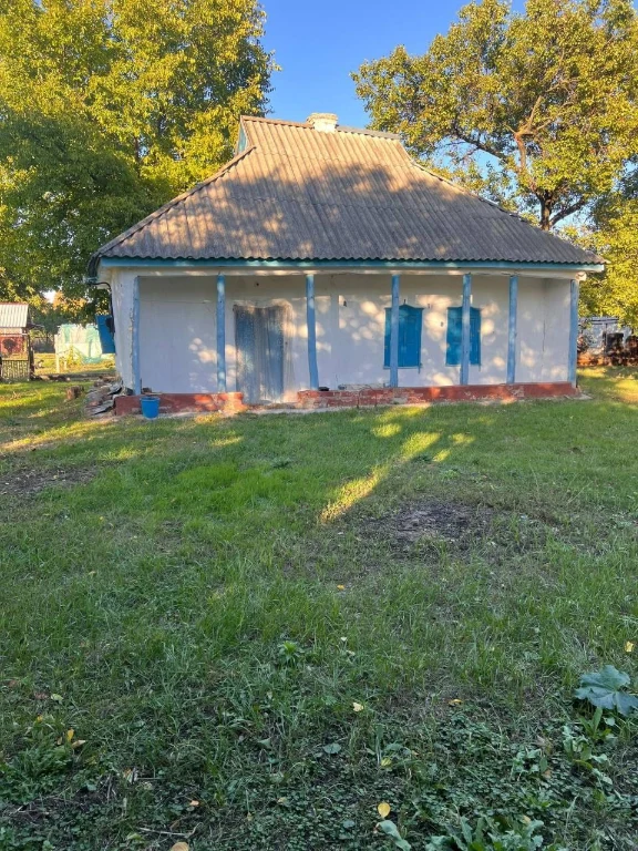 Affordable House in Mala Perechepyna at an affordable price