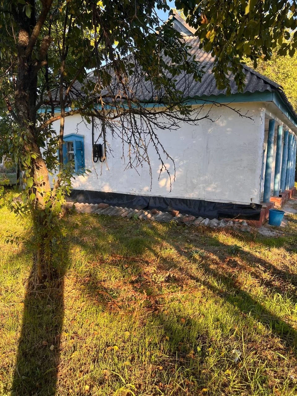 Affordable House in Mala Perechepyna at an affordable price