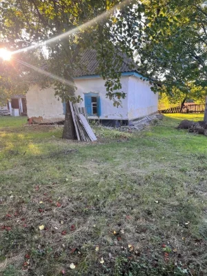 Affordable House in Mala Perechepyna at an affordable price