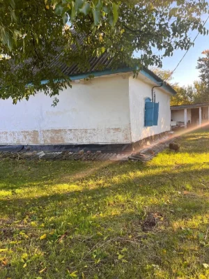 Affordable House in Mala Perechepyna at an affordable price