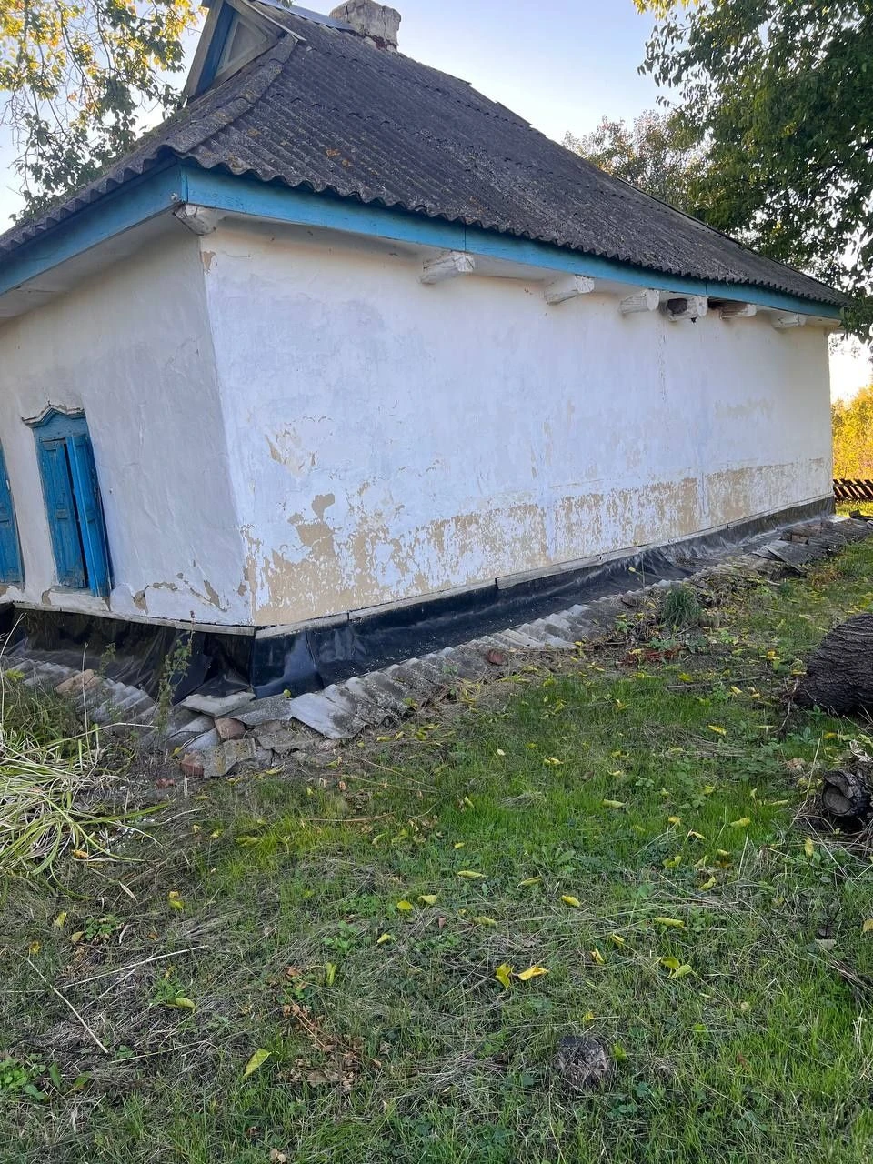 Affordable House in Mala Perechepyna at an affordable price