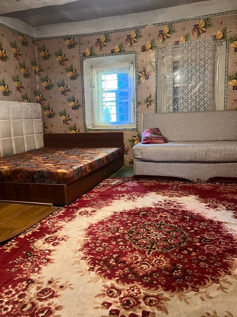 Affordable House in Mala Perechepyna at an affordable price