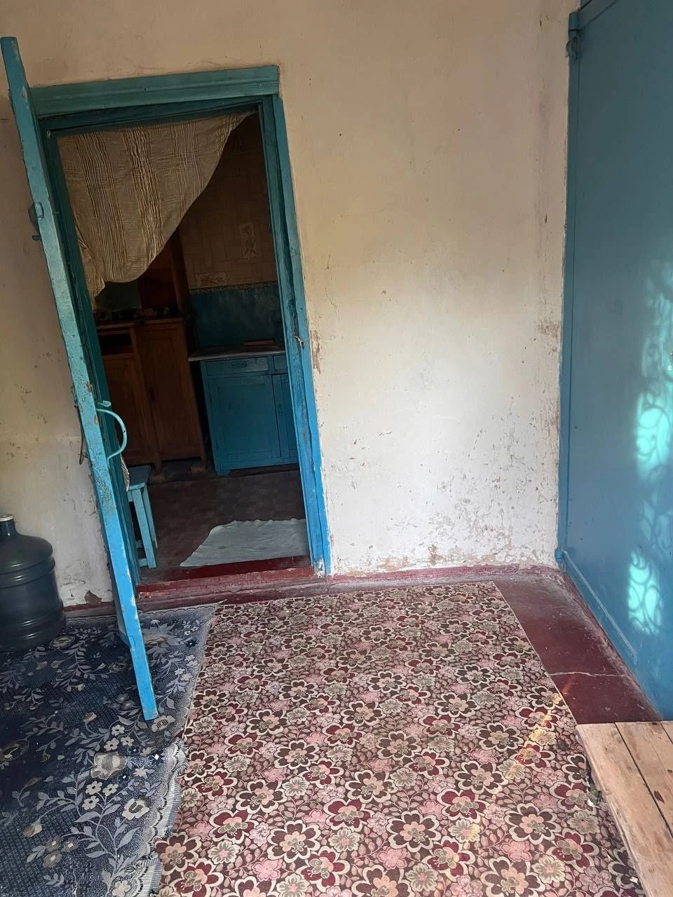 Affordable House in Mala Perechepyna at an affordable price