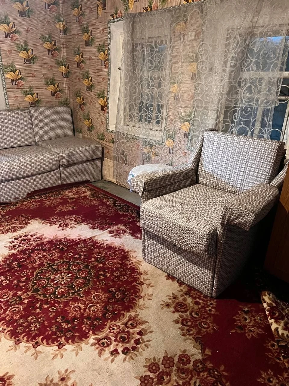 Affordable House in Mala Perechepyna at an affordable price