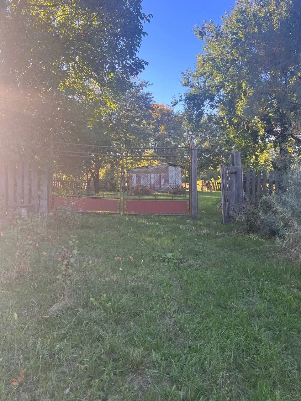 Affordable House in Mala Perechepyna at an affordable price