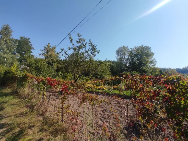 Land for sale in Baranovka