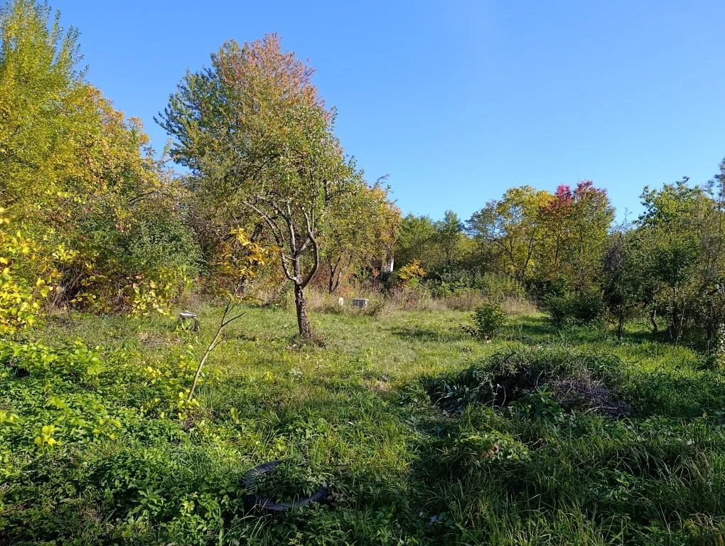 Дачна ділянка Товариство Хімік, Зелений яр, Калуш