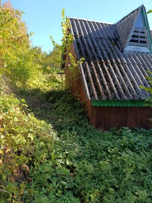 Дачна ділянка Товариство Хімік, Зелений яр, Калуш