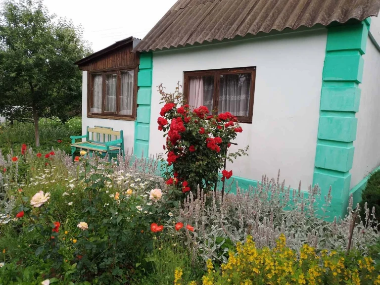 Терміново! Продається дача на Чистих прудах