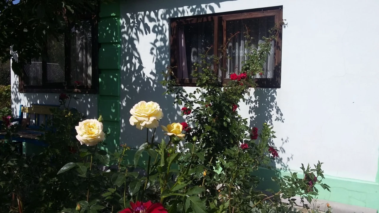 Терміново! Продається дача на Чистих прудах