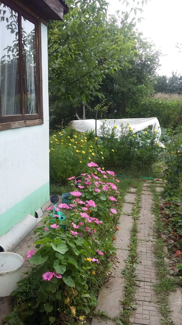 Терміново! Продається дача на Чистих прудах