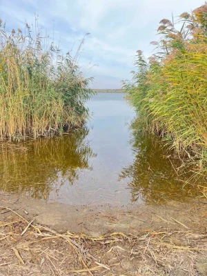 Продам дачу в  мальовничому місті,  біля самої річки в Ракет