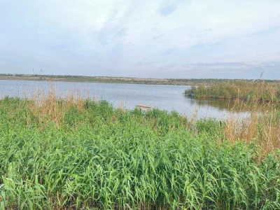 Продам дачу в  мальовничому місті,  біля самої річки в Ракет
