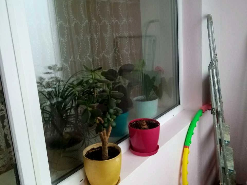Квартира. Київ, Анатолія Петрицького вул.