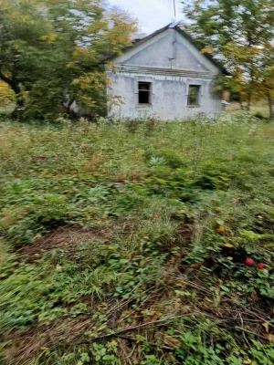 For Sale: Land with House