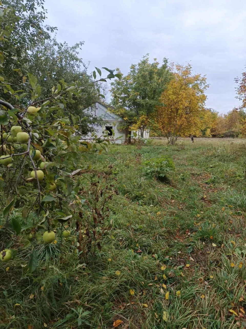 For Sale: Land with House