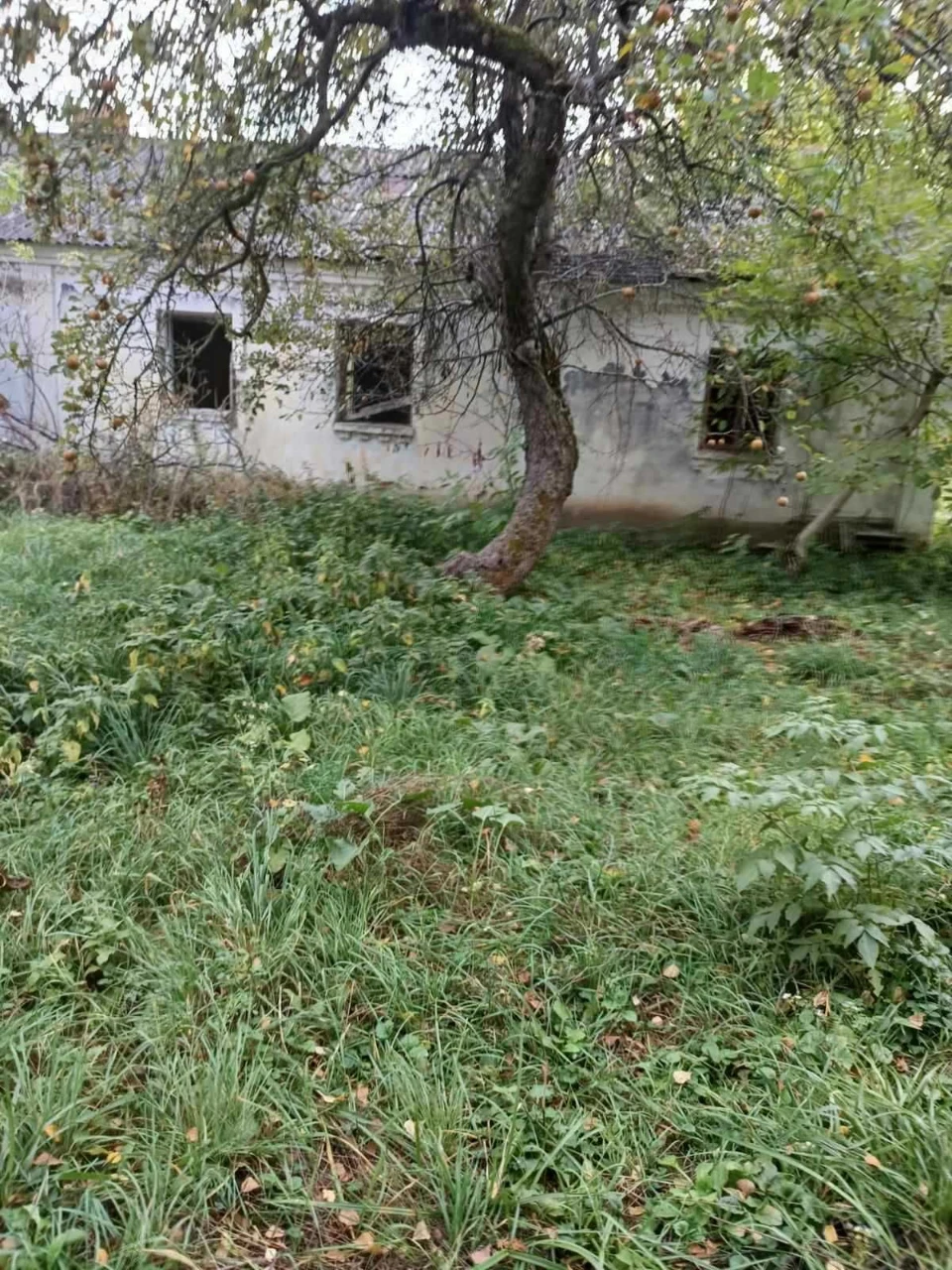 For Sale: Land with House