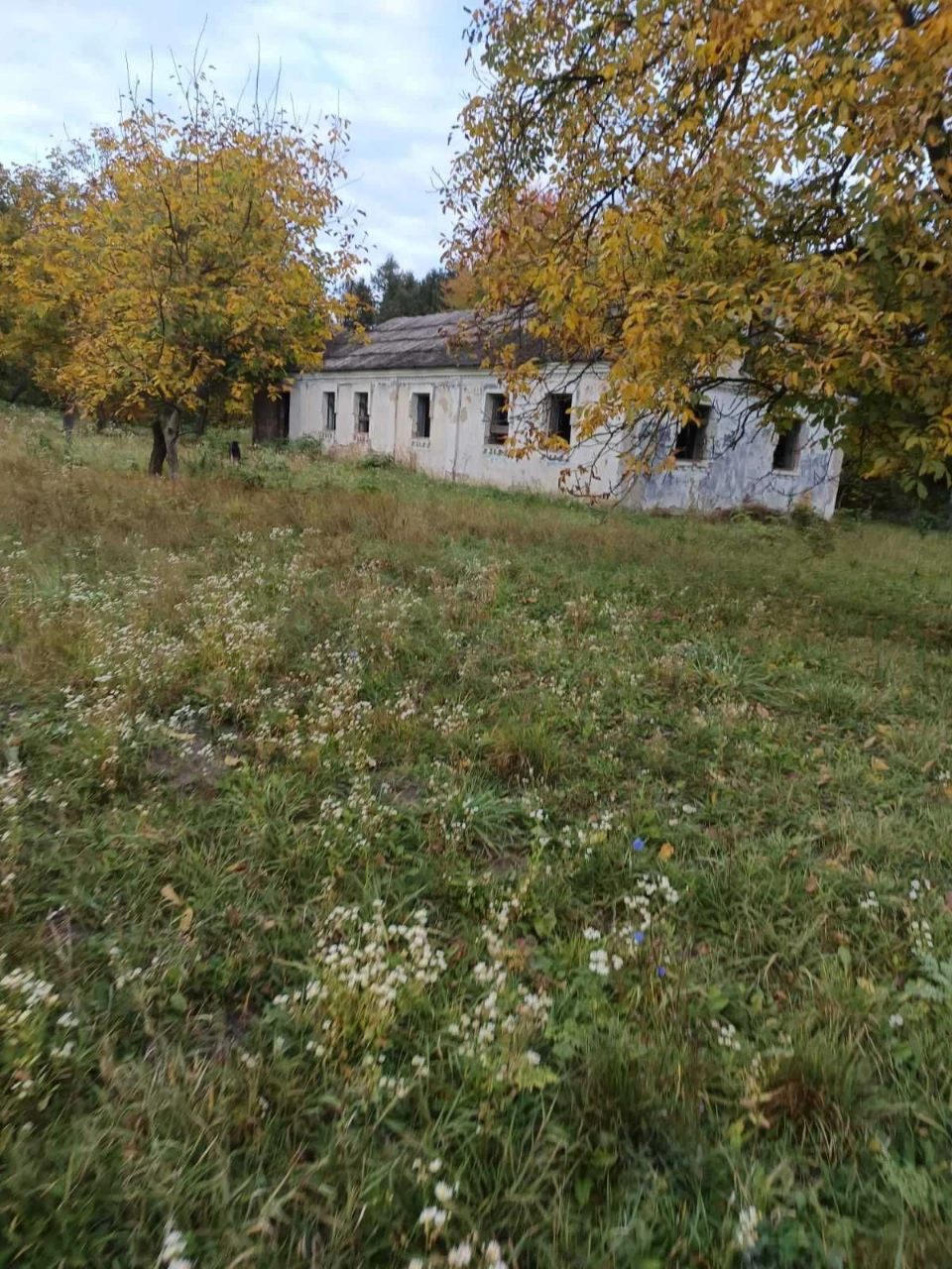 For Sale: Land with House