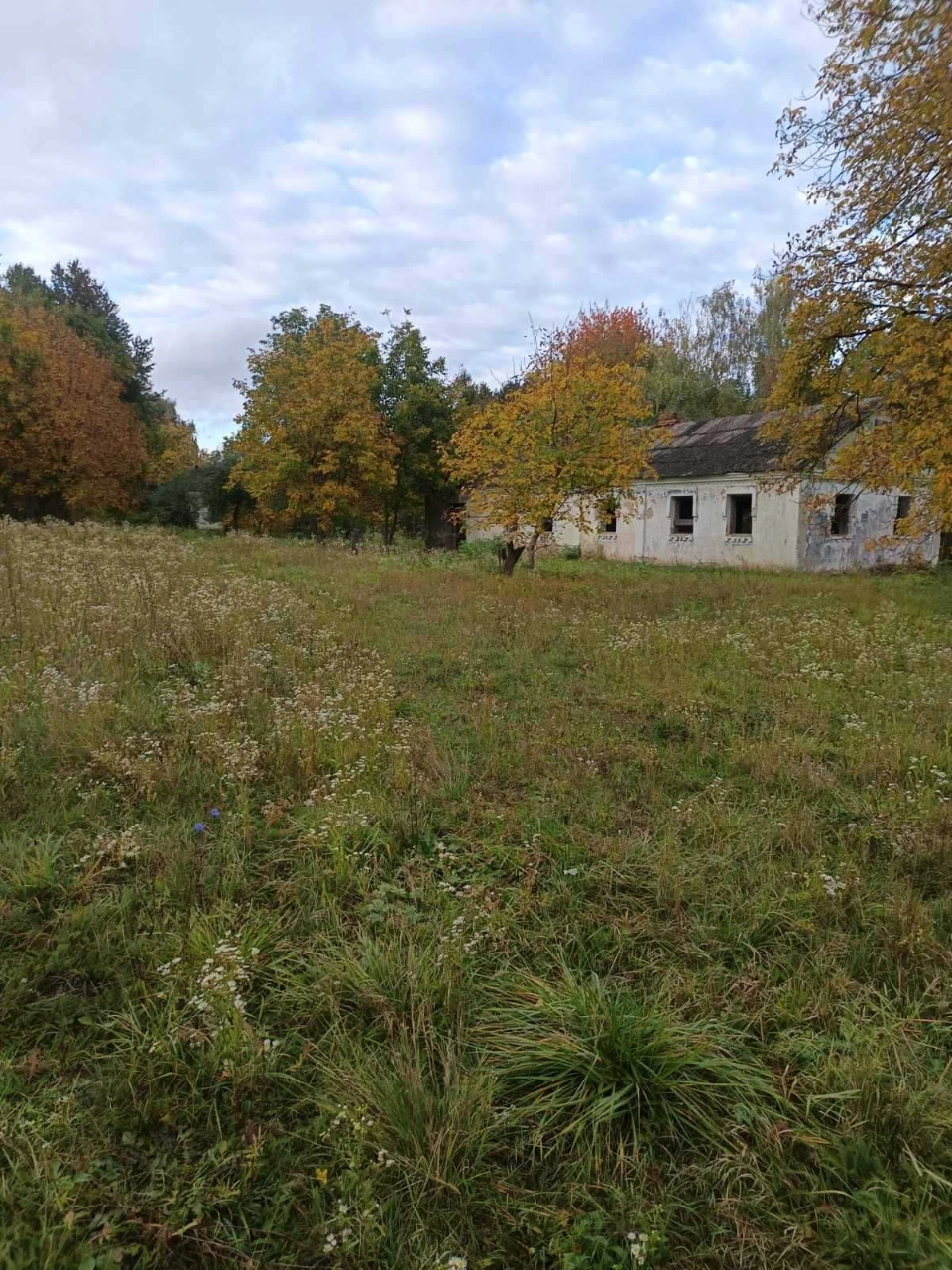 For Sale: Land with House