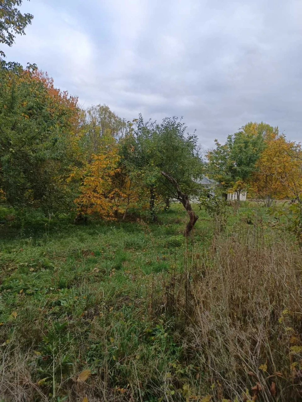 For Sale: Land with House
