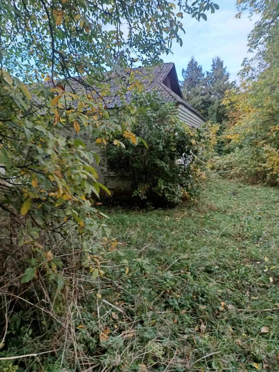 For Sale: Land with House