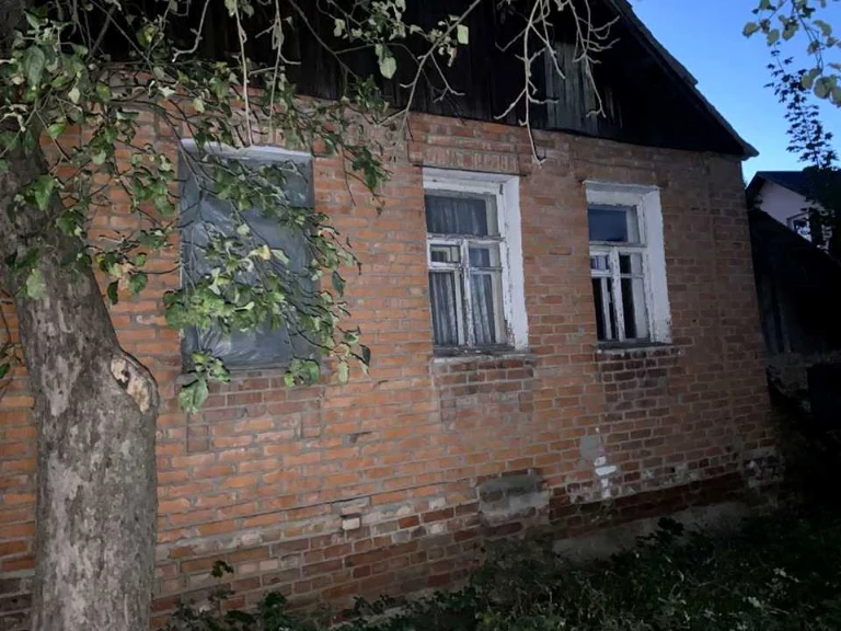 Дом. Харьков, улица Мицкевича