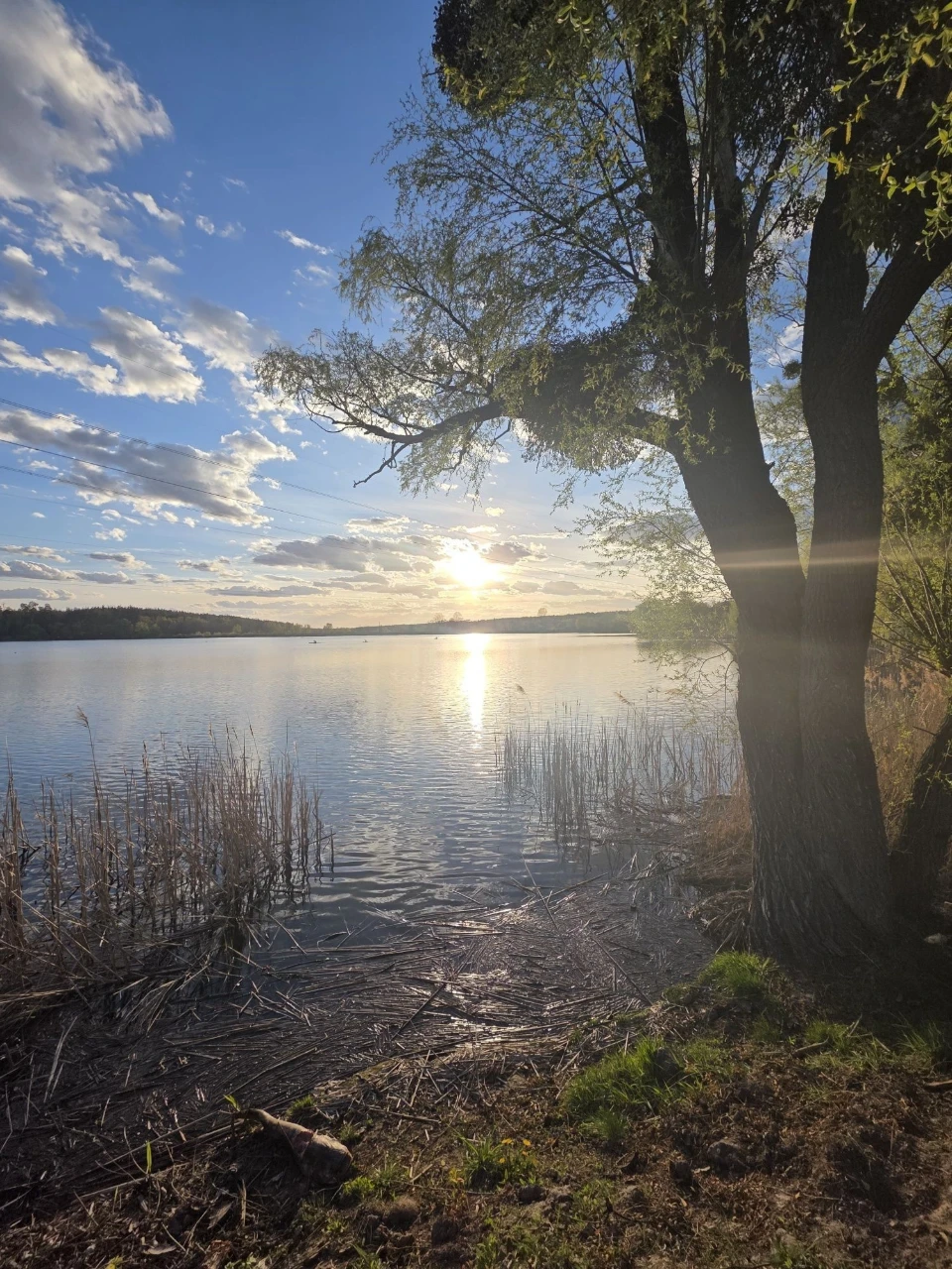 Студія в оренду! Перша здача! Академмістечко! вул. О