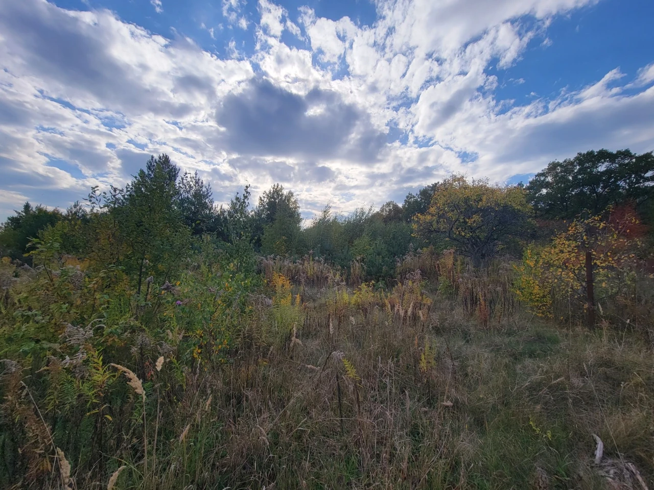 Продаж земельної ділянки біля лісу, СТ Боголюби