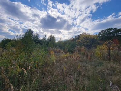 Продаж земельної ділянки біля лісу, СТ Боголюби