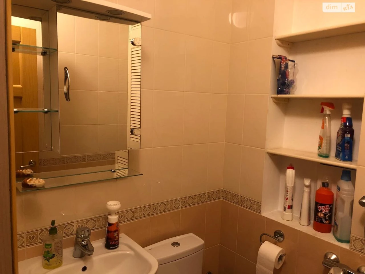 Long-Term Rental: Apartment in Demianivka