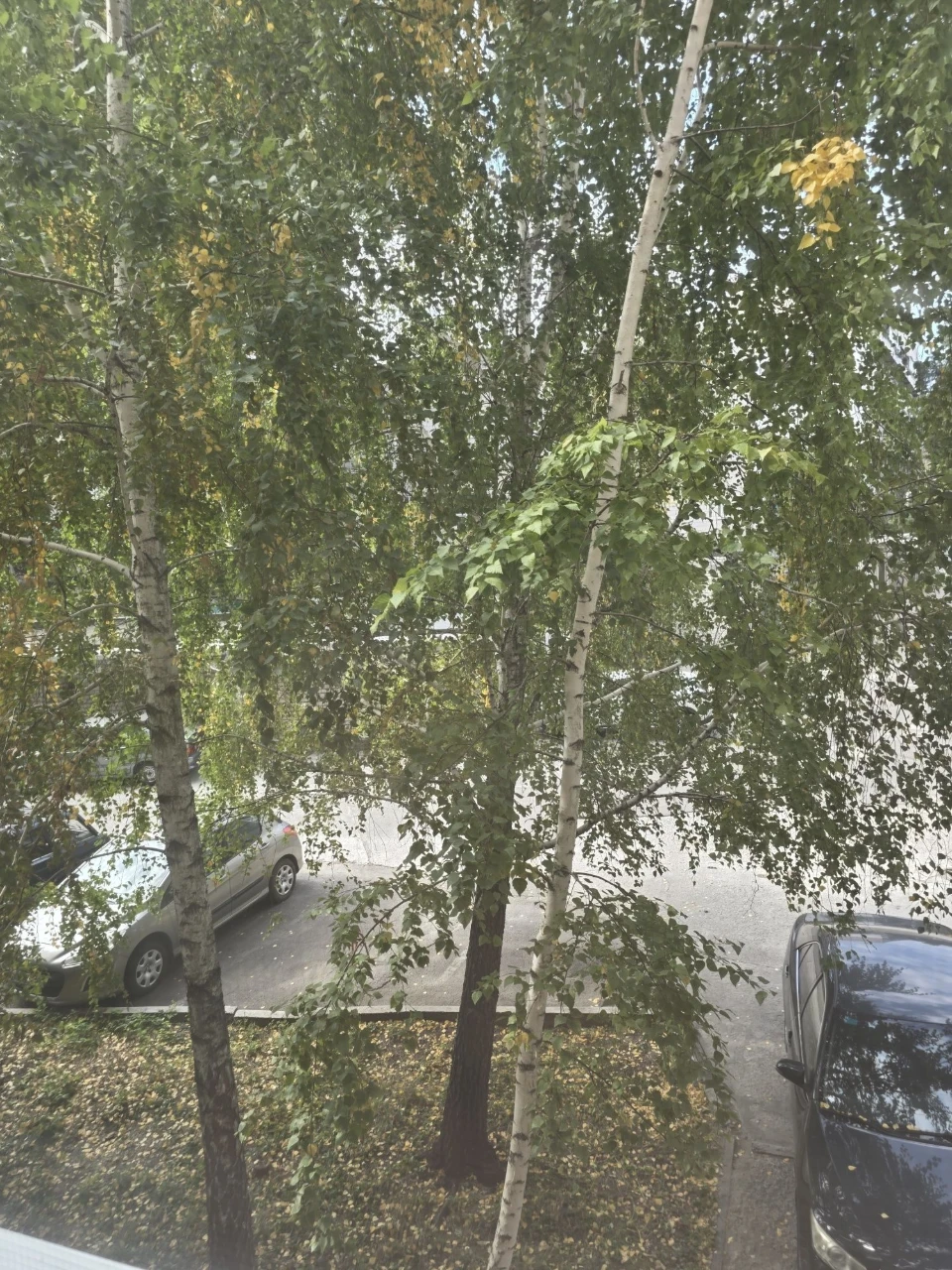 For Sale: 3-bedroom apartment on Lesya Ukrainy Street, 13