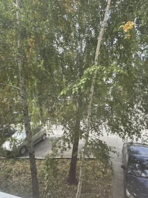For Sale: 3-bedroom apartment on Lesya Ukrainy Street, 13