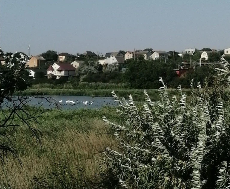 продам участок в Сухом лимане 6 соток