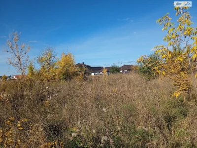Продаж земельного участка под сельскохозяйственного назначения, Старое місто