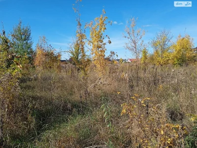Продаж земельного участка под сельскохозяйственного назначения, Старое місто